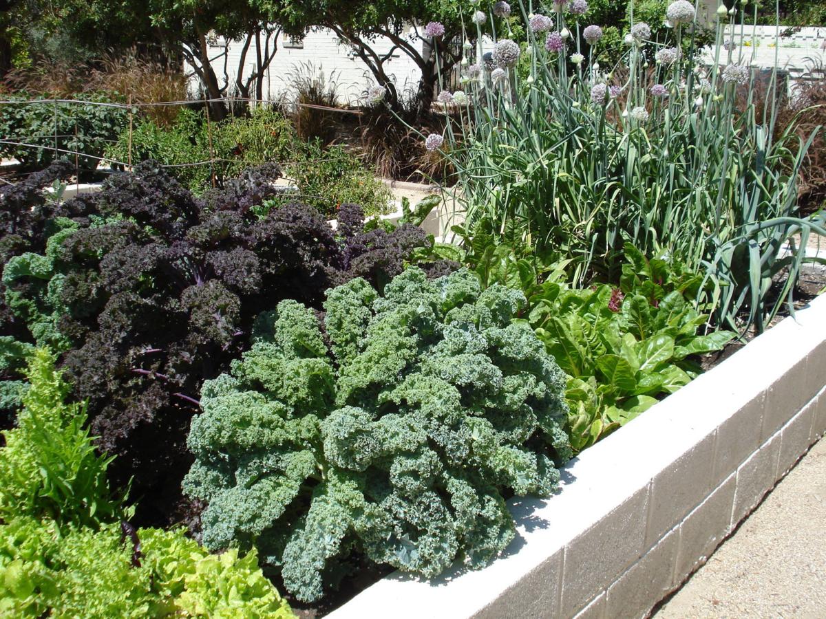 News Tucson Organic Gardeners