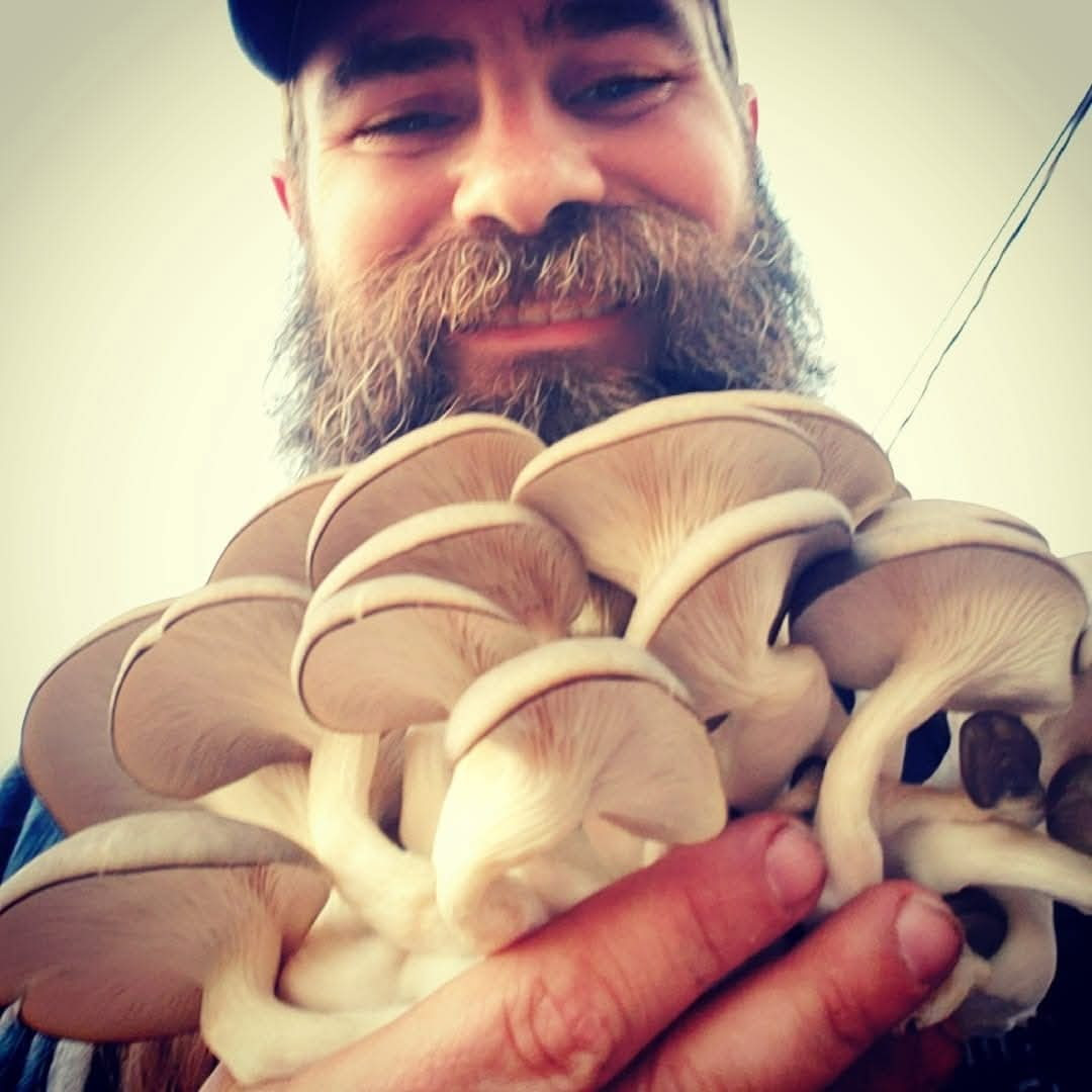 Mushrooms – January 2026